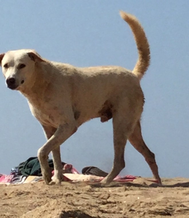 1DB4B69F-29EF-41A2-83B2-D309184B1BA6