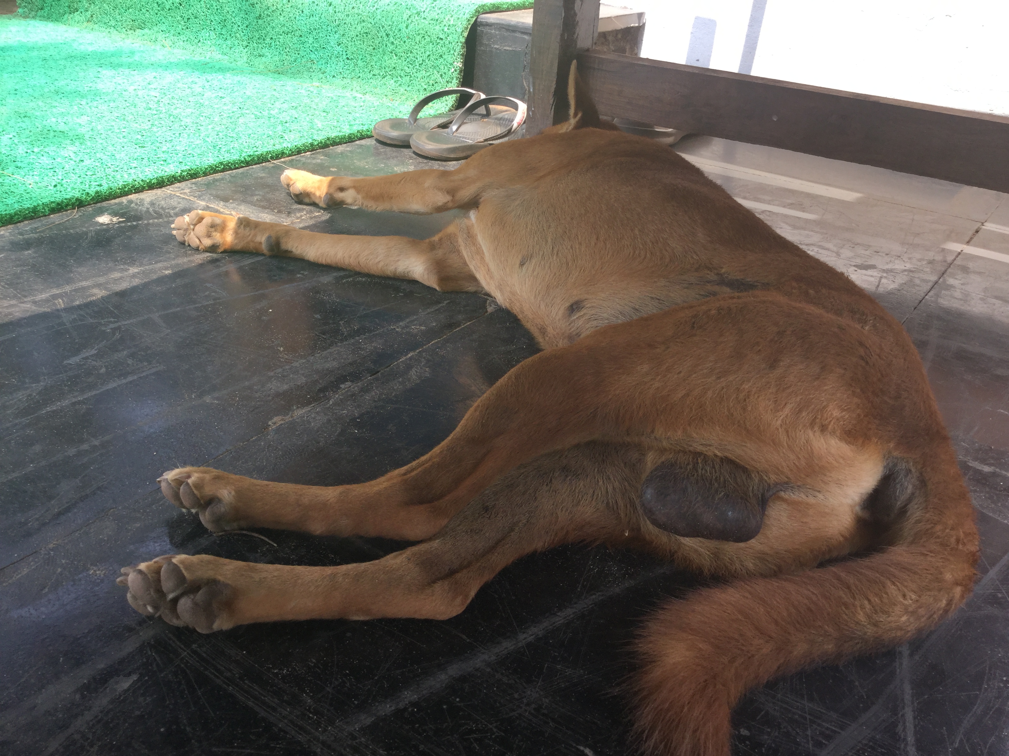 B9626CAA-2665-49DB-9C61-1E68AF9FB632