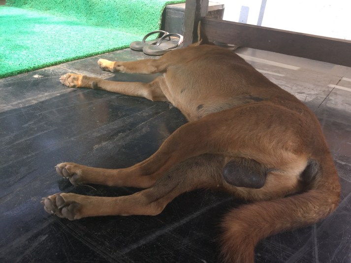 B9626CAA-2665-49DB-9C61-1E68AF9FB632